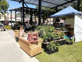 Clare Easter Craft Fair