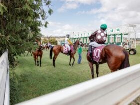 Calm before the jump!