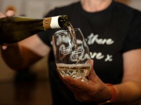 Clare Valley - A Taste of Something Different