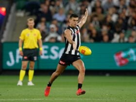 Nick Daicos Collingwood