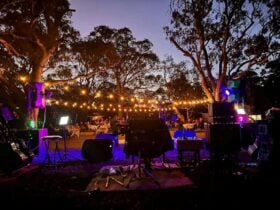 Country Music Muster