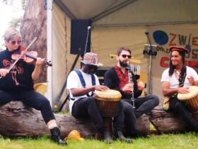 Musicians at Cultured. 2025