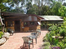 Willunga Art Gallery, McLaren Vale Art Gallery, Fleurieu Art Gallery, Adelaide Hills Art Gallery,