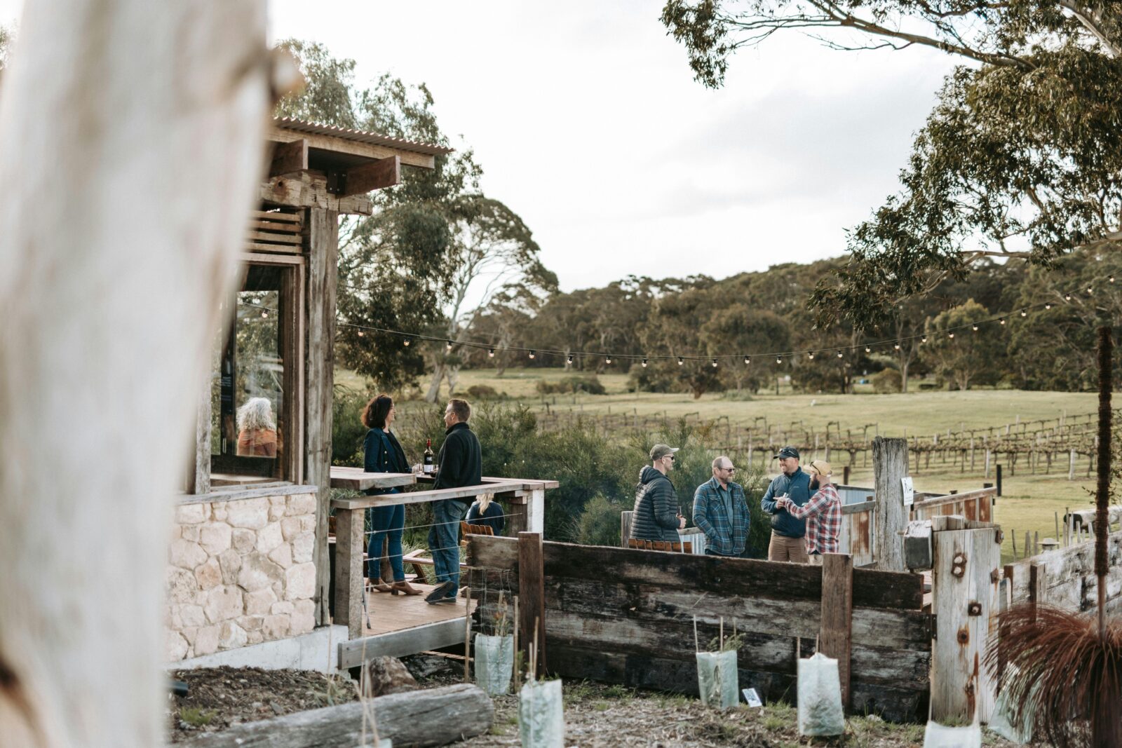 winter at false cape wines