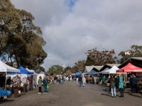 Family Footy Day at Mount Pleasant Farmers Market