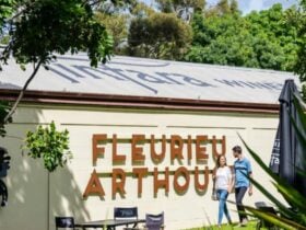 A man and woman walking hand in hand in front of the Fleurieu Arthouse in McLaren Vale