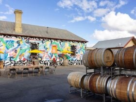 Jam House Cellar Door