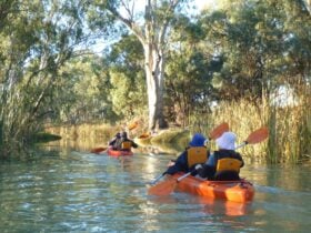 4 kayakers in 2 double kayaks paddle along narrow wooded creek