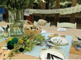 Beautiful setting of still life in the Outdoor Studio