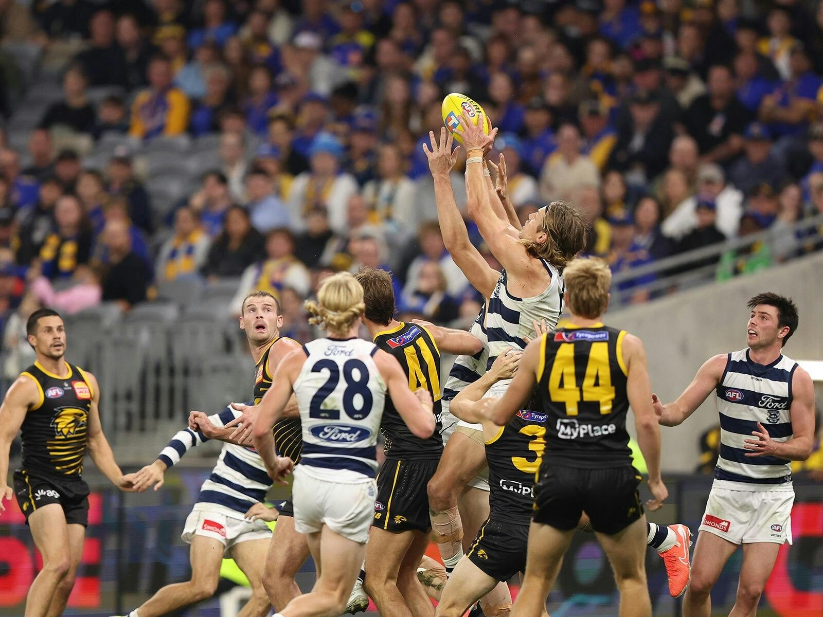 Geelong v West Coast