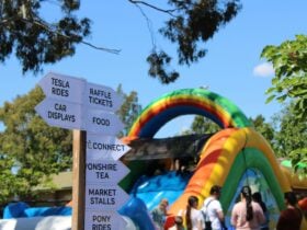 Kid's jumping castle and other activities