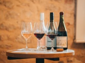 2025 Grenache & Gourmet Tasting - Bondar Grenache Through The Ages
