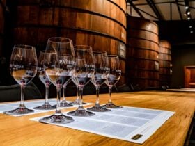 Wine tasting in tasting room