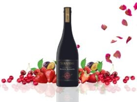 Grenache Tasting
