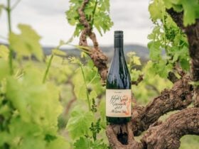 High Sands Grenache Bottle in the Vineyard