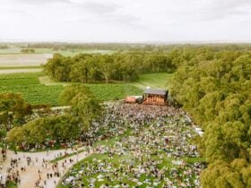 Drone image of Handpicked Festival from the sky overlook the crowd, stage and vineyards beyond