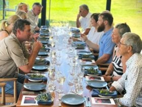 Harvest the Vines Long Table Lunch, Wine and Tour with Sophie Angove edit