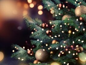 Hilton Adelaide Festive Season 2022