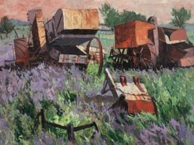 old rusted farm machinery in field of green and purple flowers