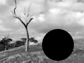 A landscape image featuring a large tree without leaves. A hole has been cut out