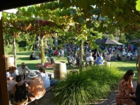 Kalleske Wines