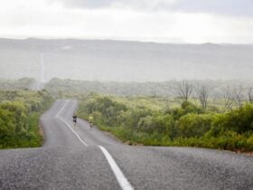 Sun lights the Cape Du Couedic Road with a marathon runner in the foreground.