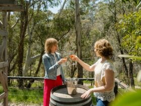 Sinclairs Gully Winery music venue