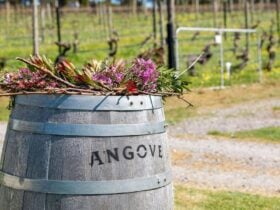 Just for Mum - a mothers Day Lunch at Angove Wines in McLaren Vale
