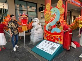 year of the wood snake art installation on Grote Street