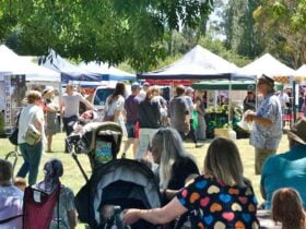 Family group seated in the foreground. Crowds walking on green grass amongst market gazebos