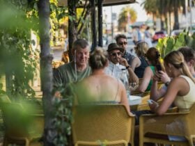 Dinner under the vines