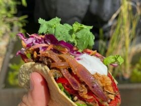 Mexican Food Fiesta Cooking Class