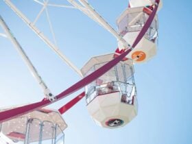 Enjoy 360 degree views inside our comfortable gondolas