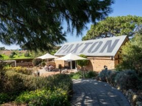 Paxton Wines Cellar Door