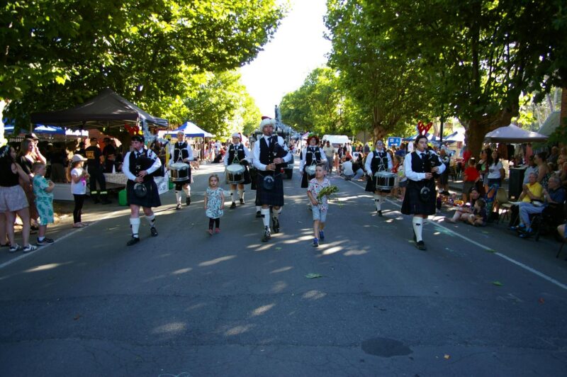 Members of the Seymour College Pipe Band marching down the street lined with spectators.