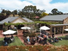 Murray Street Artisan Launch 2023