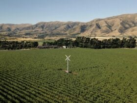 Nanny Goat Vineyard Aerial