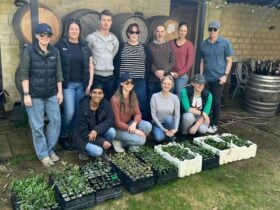 NATIVE PLANT PROPAGATION WORKSHOP AT SINCLAIRS GULLY