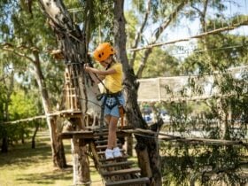 Accessible Adventure Club - Fleurieu Peninsula