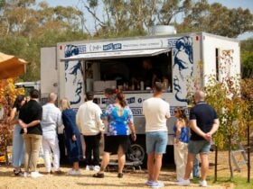 Customers ordering at Babs Food truck