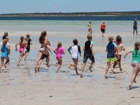 Kids swim race