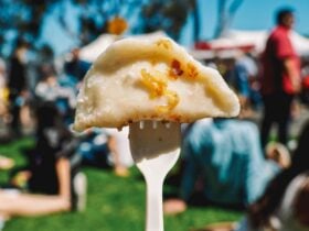 Pierogi