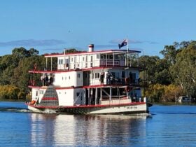 PS Marion - Mannum
