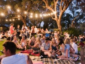 Whistler wines garden