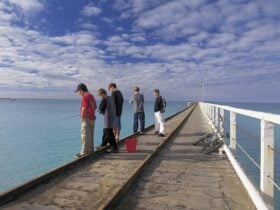 Five young boys aged about 10 years old dangling their fishing rods in the sea on Beachport jetty.