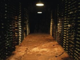 Saltram underground cellar