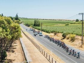 THINK! Road Safety Men