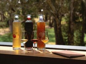 Schnapps Tasting at Ambleside Distillers in Hahndorf