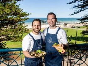 S2S 2026 Ambassadors