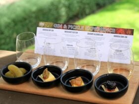 Gin & Pickle Tasting Experience - Seppeltsfield Road Distillers